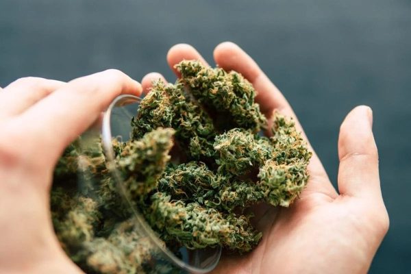 Nexzen Extracts: Farm Bill Compliant Hemp Delivered Fast Across the U.S.