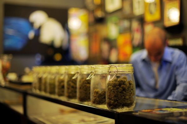 Top-Rated Cannabis Store Near Me – Popup CNX Thailand