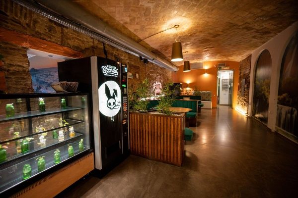 Discover a Premium Selection of Cannabis Clubs Lloret De Mar